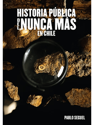 Historia Pública Del Nunca Más En Chile