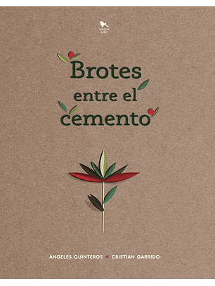 Brotes Entre El Cemento