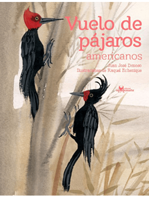 Vuelo De Pajaros Americanos