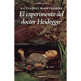 El Experimento Del Doctor Heidegger