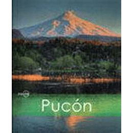 Pucon Inside