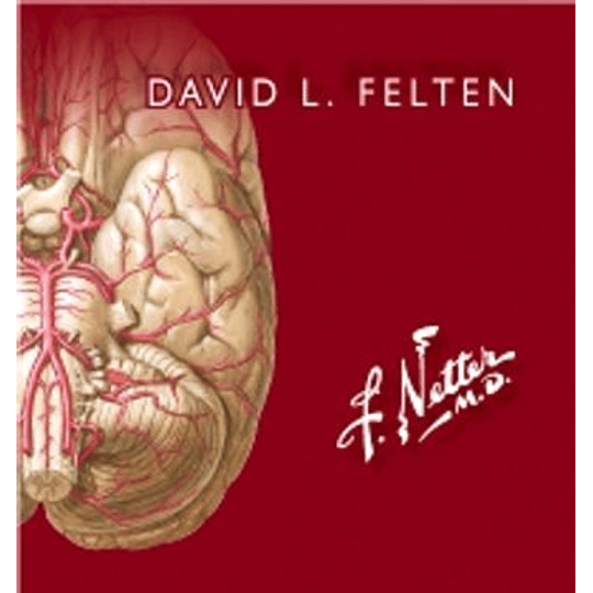 Netter. Flashcards De Neurociencia (3ª Ed. )