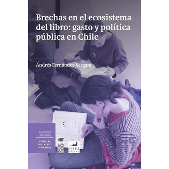 Brechas En El Ecosistema Del Libro: Gasto Y Politica Publica En Chile