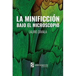 La Minificcion Bajo El Microscopio