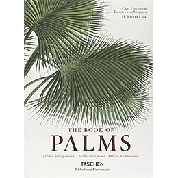 The Book Of Palms
