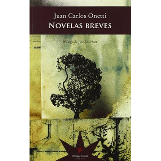 Novelas Breves