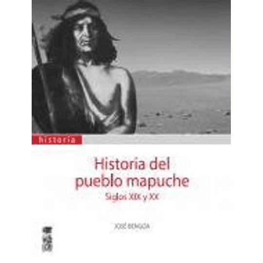 Historia Del Pueblo Mapuche