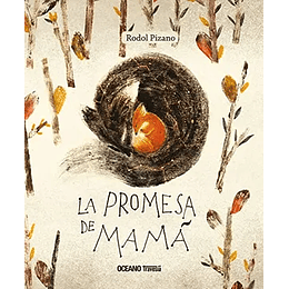 Promesa De Mama, La