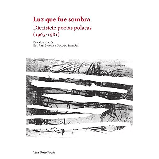 Luz Que Fue Sombra: Diecisiete Poetas Polacas