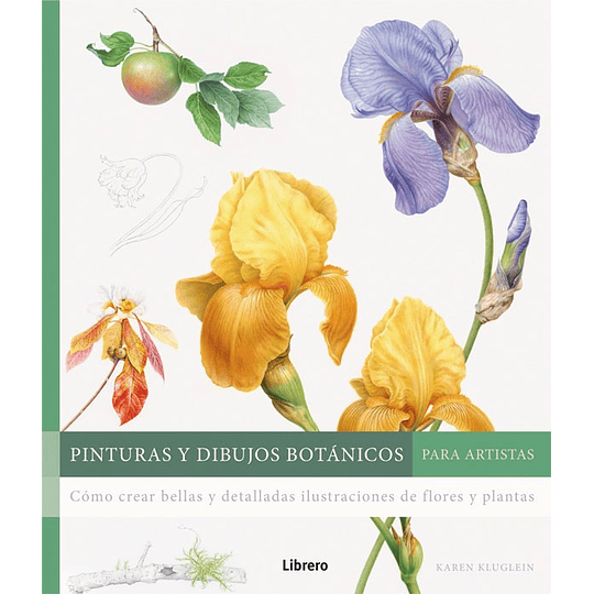 Pinturas Y Dibujos Botanicos Para Artistas
