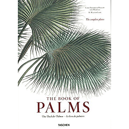 Book Of Palms 