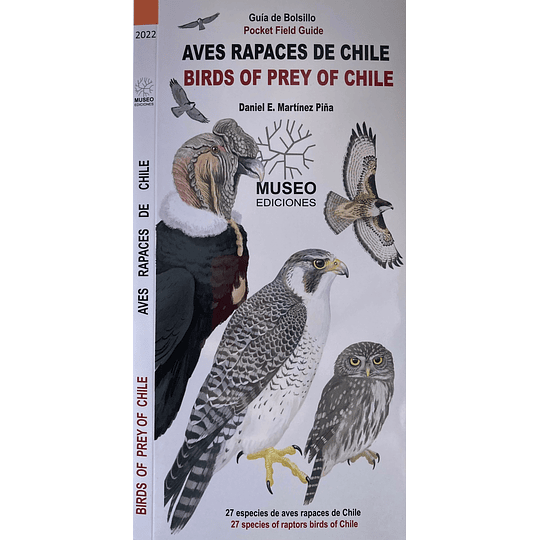 Aves Rapaces De Chile