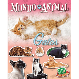 Mundo Animal Gatos