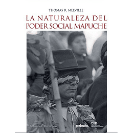 La Naturaleza Del Poder Social Mapuche