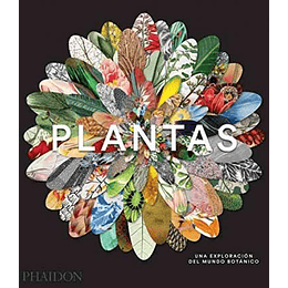 Plantas: Una Exploracion Del Mundo Botanico