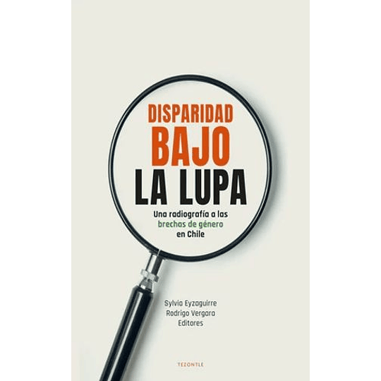 Disparidad Bajo La Lupa