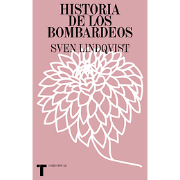 Historia De Los Bombardeos