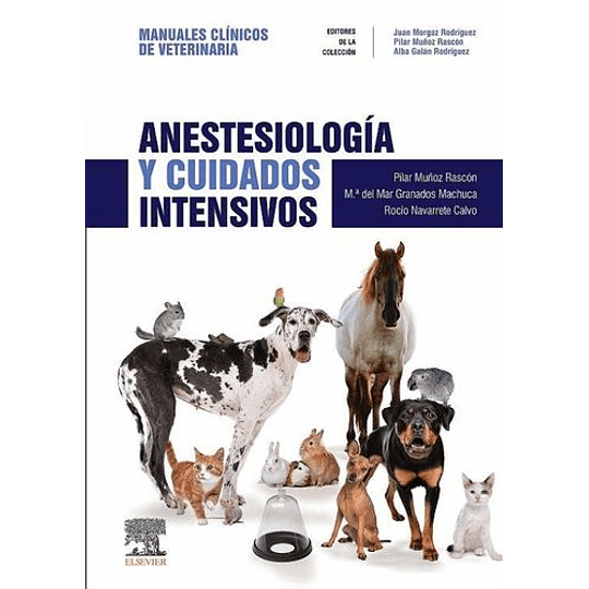 Anestesiologia Y Cuidados Intensivos