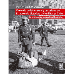 Violencia Política Sexual Y Terrorismo De Estado En La Dictadura Civil-militar En Chile