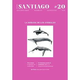 Revista Santiago N°20