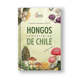 Hongos Comestibles De Chile