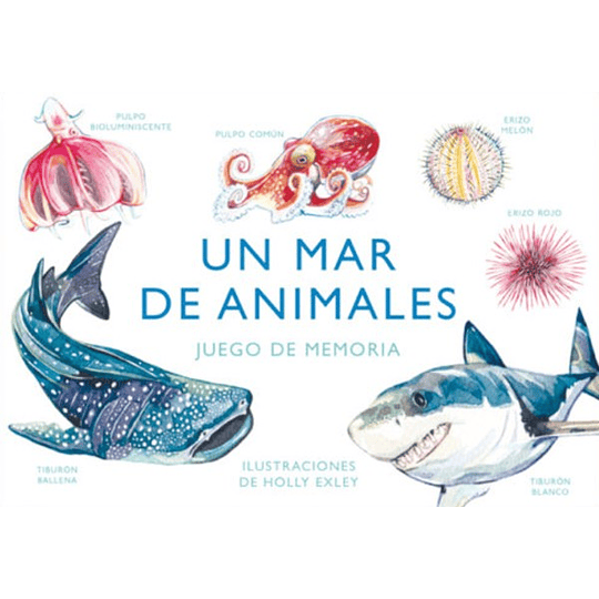 Un Mar De Animales