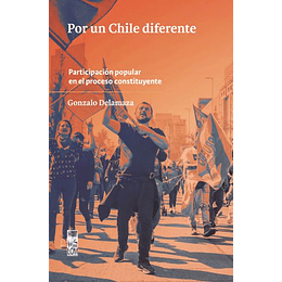 Por Un Chile Diferente Participación Popular En El Proceso Constituyente (2019-2022).