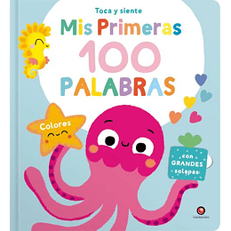 Mis Primeras 100 Palabras - Colores