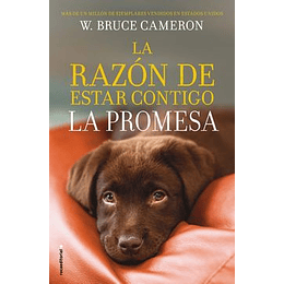 La Promesa (La Razon De Estar Contigo)