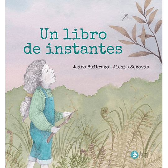 Un Libro De Instantes