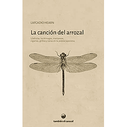 La Cancion Del Arrozal