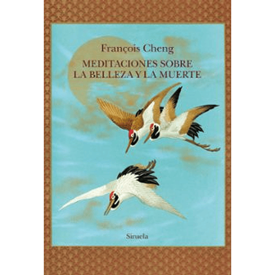 Meditaciones Sobre La Belleza Y La Muerte