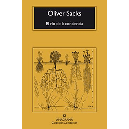 El Rio De La Conciencia 