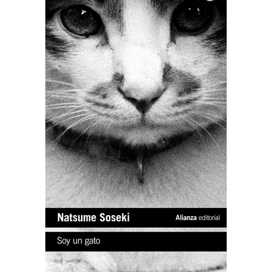 Soy Un Gato