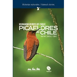 Picaflores De Chile