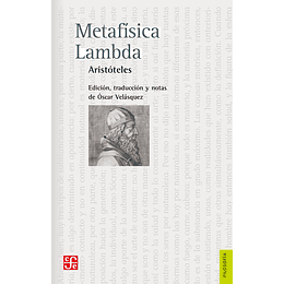 Metafisica Lambda