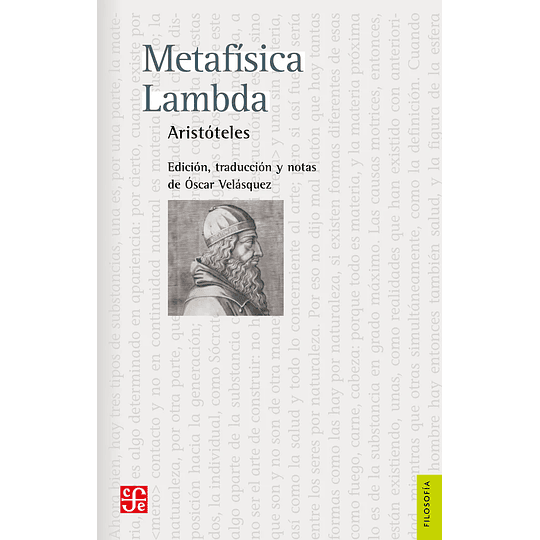 Metafisica Lambda