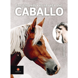 Enciclopedia Ilustrada Del Caballo
