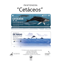 Pantonera Cetaceos