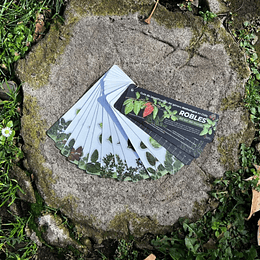 Pantonera Robles Del Sur Del Mundo 