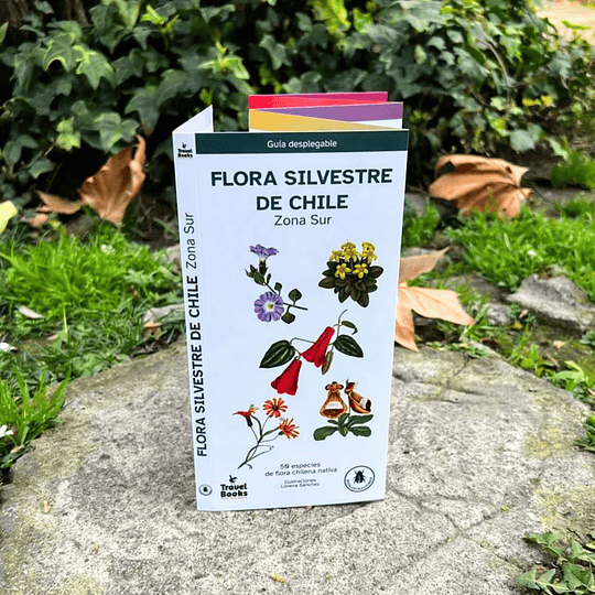 Guia De Bolsillo - Flora Silvestre De Chile Zona