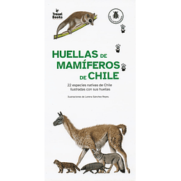 Huellas De Mamifereos De Chile