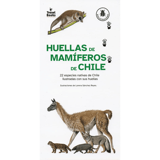 Huellas De Mamifereos De Chile