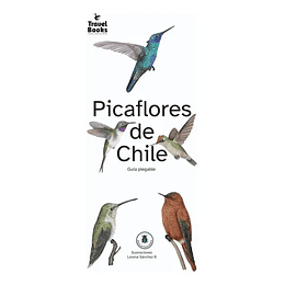 Picaflores De Chile