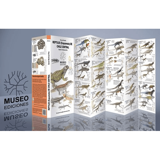 Guia Reptiles (Esquamata) De Chile Central