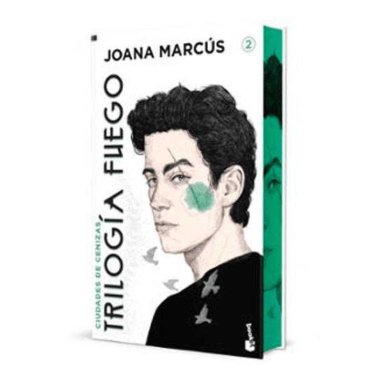 Ciudades De Cenizas. Edicion Especial Con Cantos Decorados