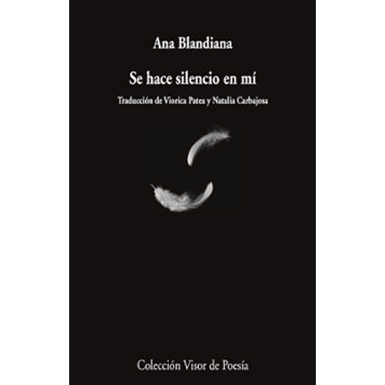 Se Hace Silencio En Mi