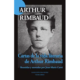 Cartas De La Vida Literaria