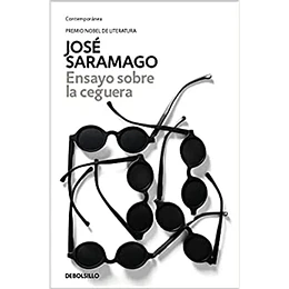 Ensayo Sobre La Ceguera