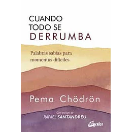 Cuando Todo Se Derrumba (Nueva Edicion) 